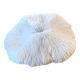 Ancient Coral Fungia or Shark Cushion 15cm