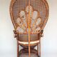 Armchair Emmanuelle Peacock