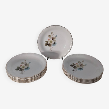 12 Digoin Sarreguemines soup plates