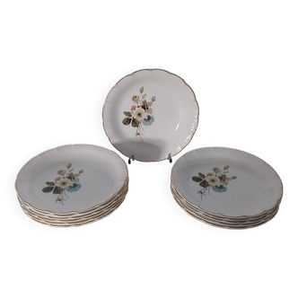 12 Digoin Sarreguemines soup plates