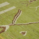 Handmade Turkish One of a Kind 280 cm x 374 cm Green Wool Carpet