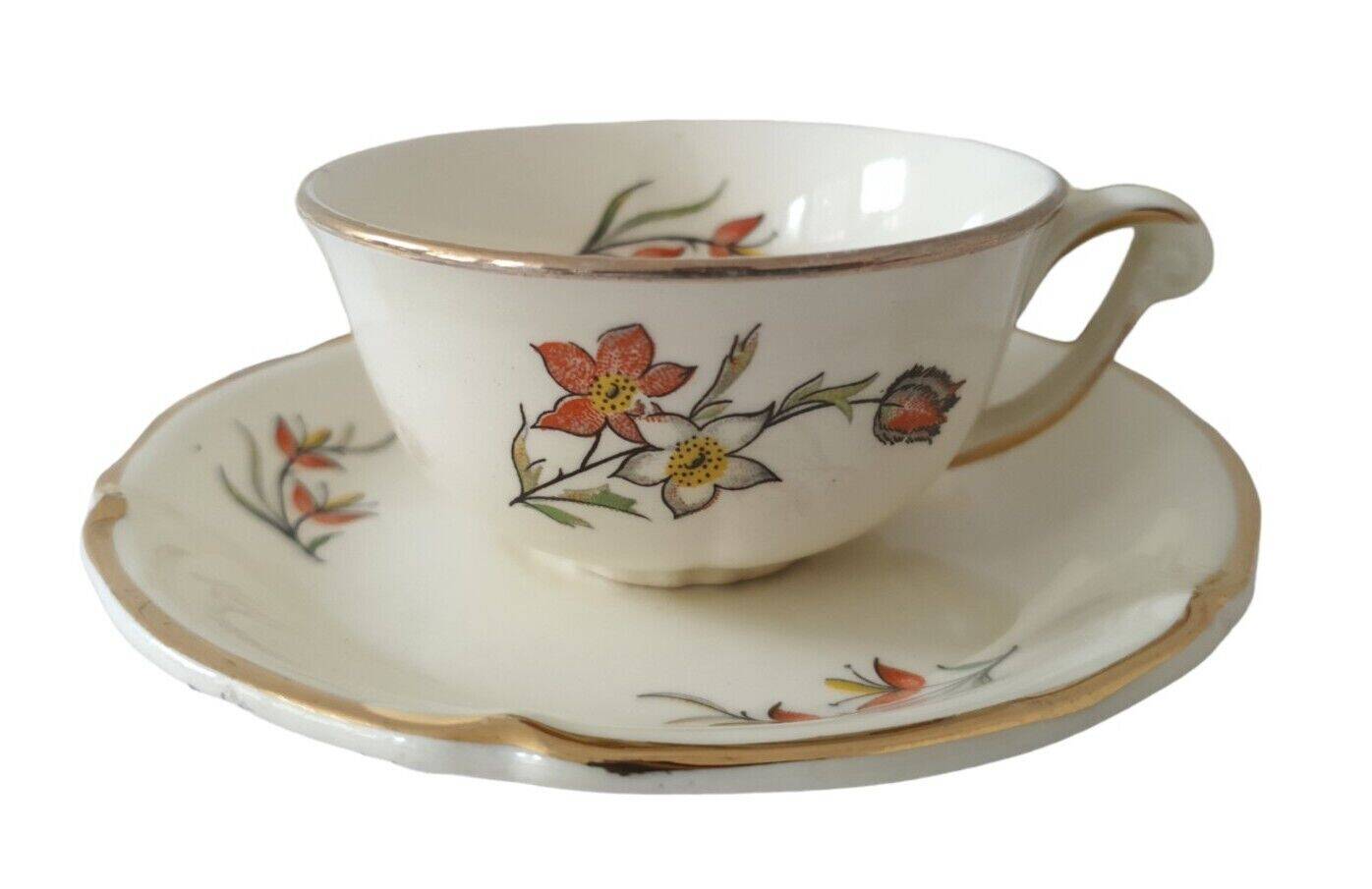 Saverne Céranord Saint Amand Semi Vitrified Tea Service 12 Pieces 1960s