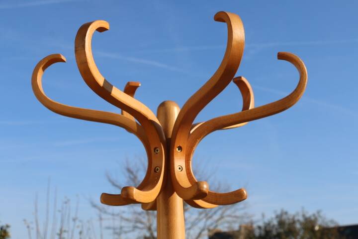 Baumann parrot coat rack simple clear