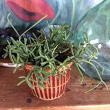 Cache jar in wicker