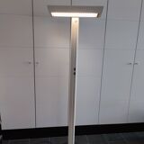 Radian industrial floor lamp