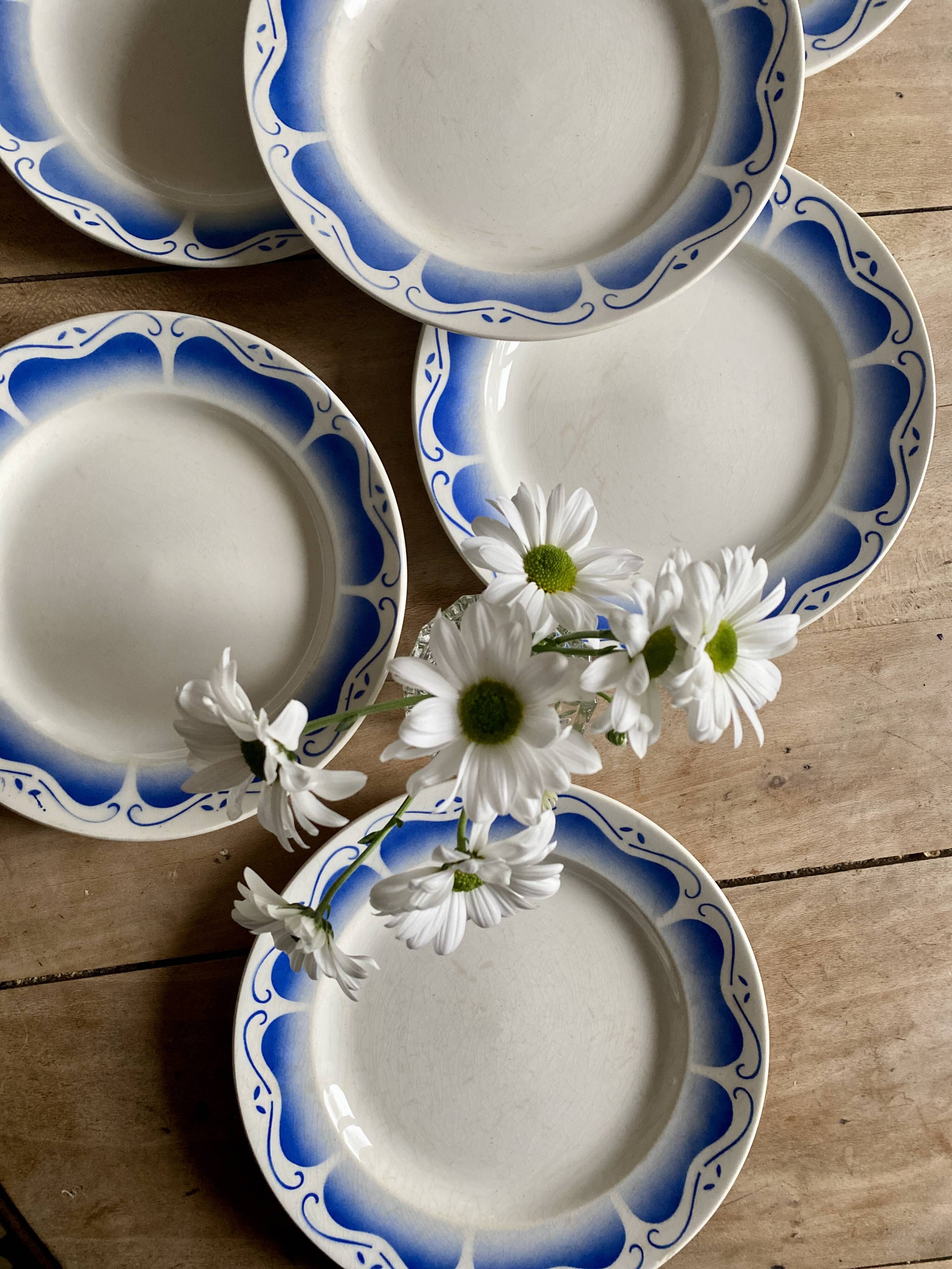 Set of 6 vintage flat plates
