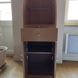 Secretary argus habitat