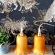 Baladeuse tulipe orange
