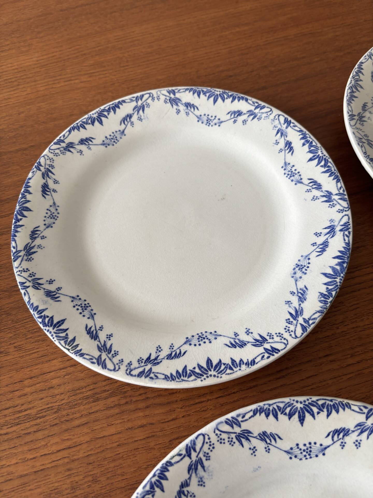 Service of 4 flat plates earthenware Creil and Montereau labrador – Mo