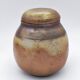 Stoneware box by Charles Gaudry