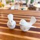 Salière et poivrière en porcelaine motif oiseaux