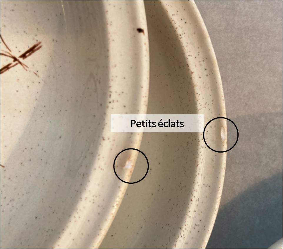 Set of 6 Sarreguemines Chardon bowl-shaped plates