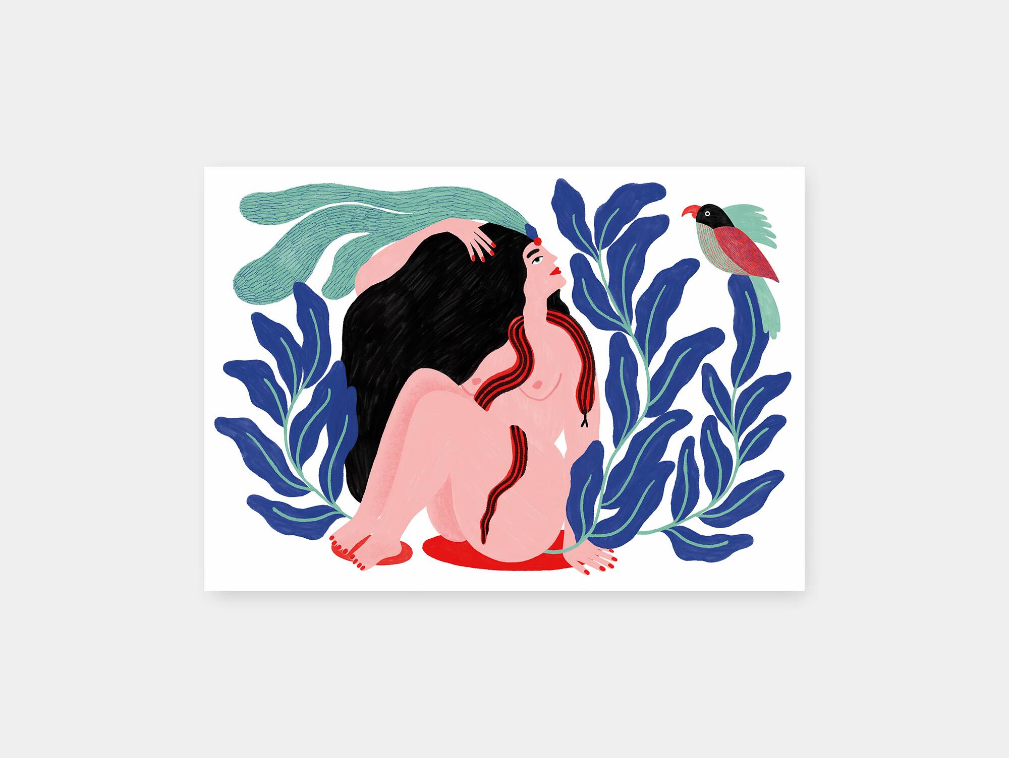Jungle - illustration a4