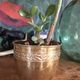 Copper pot cover