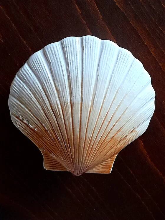 Ceramic shell 1960