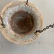 Old 19th century terracotta plant holder