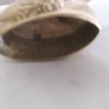 Canards laiton