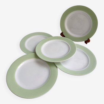 5 large pastel green vintage earthenware dinner plates