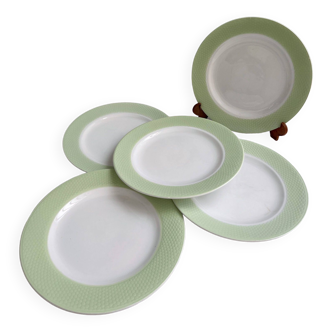 5 large pastel green vintage earthenware dinner plates