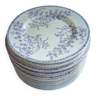 20 antique ironstone plates "Caprice"