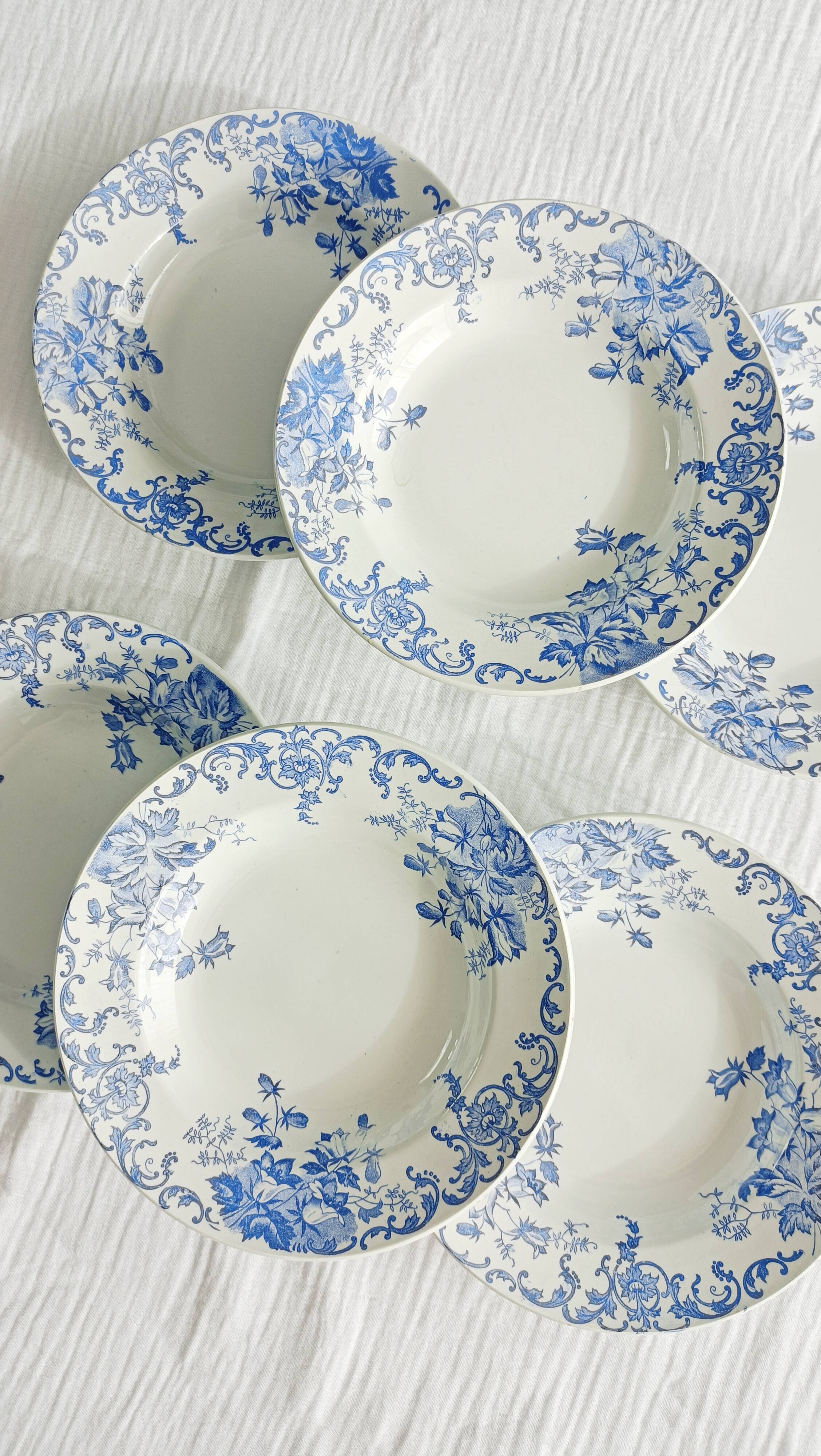 Set of 6 Saint Amand et Hamage iron earth soup plates, Bellflower