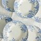 Set of 6 Saint Amand et Hamage iron earth soup plates, Bellflower