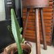 Old brutalist stool