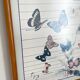TABLEAU Display BUTTERFLY Italy