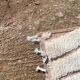 Handmade White Moroccan Wool Rug – Authentic Berber Craftsmanship & Timeles
