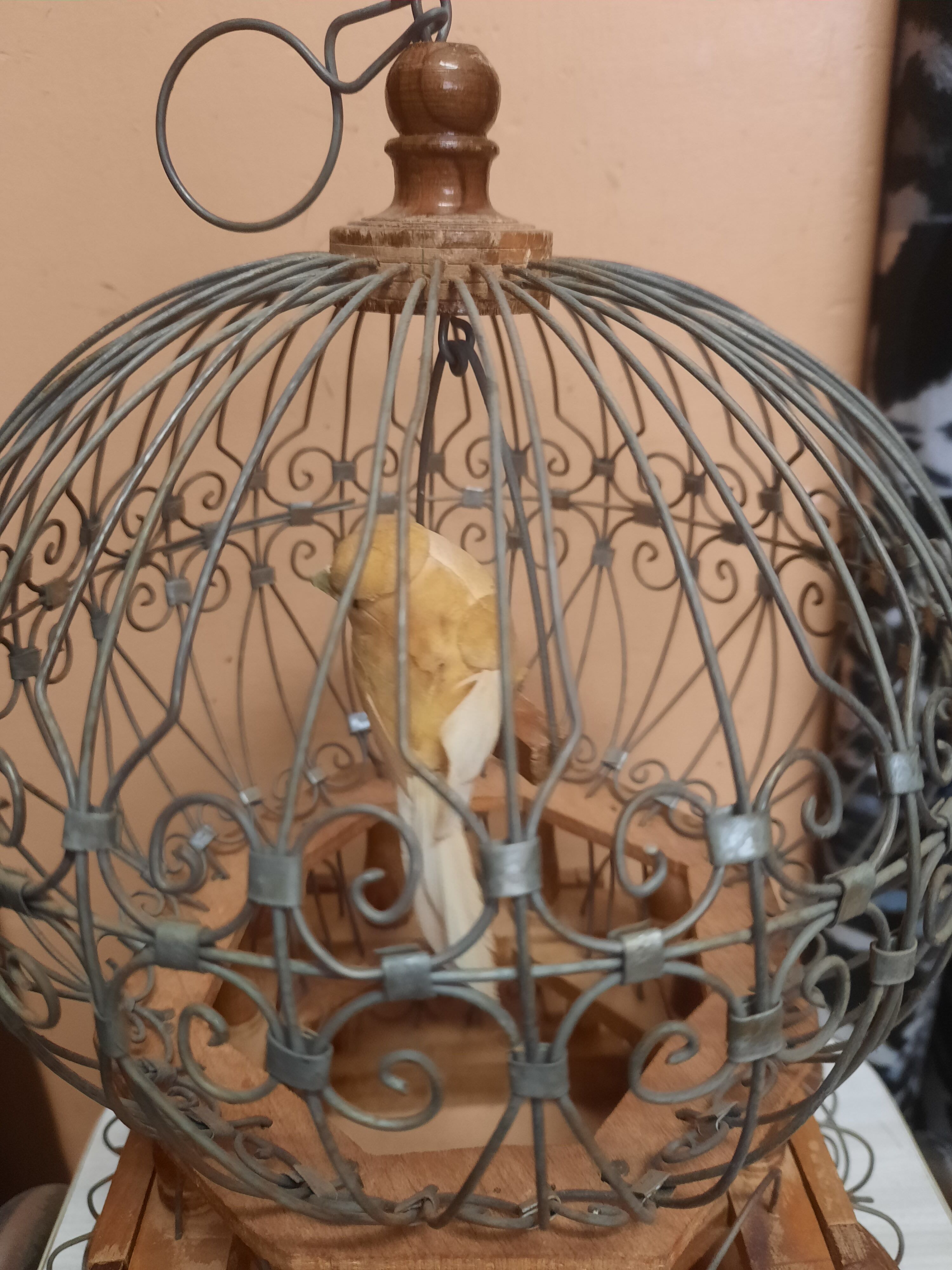 Bird cage