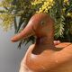 Canard bois ancien