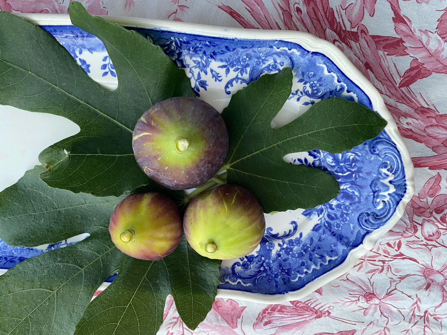 Old Villeroy and Boch cake dish