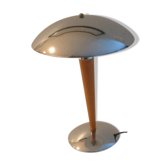 Lamp mushroom known as steamer