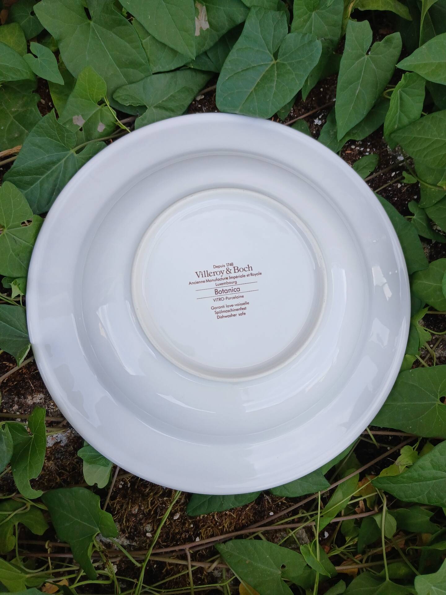 Assiette creuse Villeroy et Boch