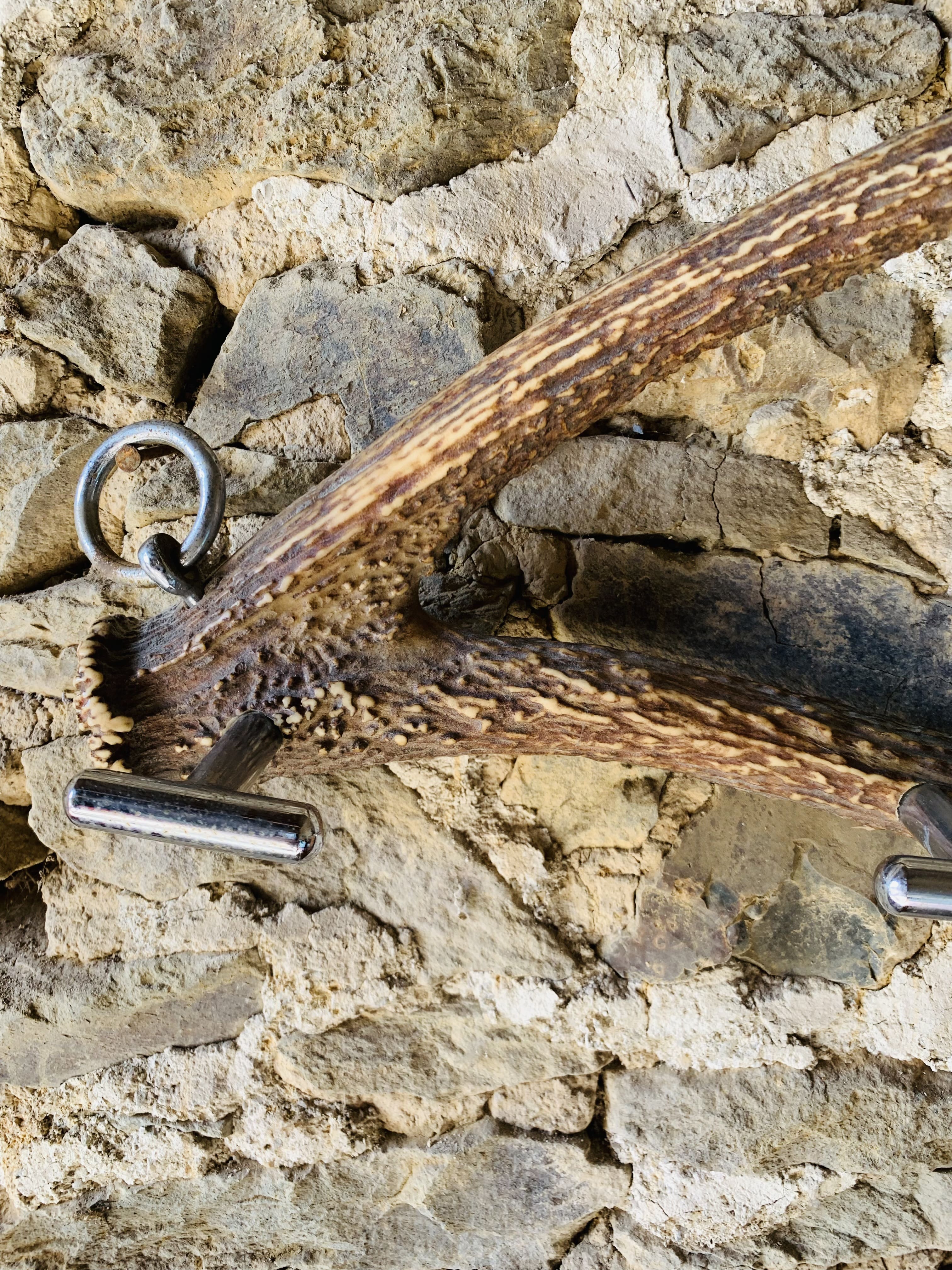 Deer antler coat rack 3 hooks