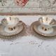 Head to head in porcelain Bavaria 6 pieces floral decoration and gilding