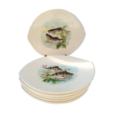 6 flat oval plates Salins