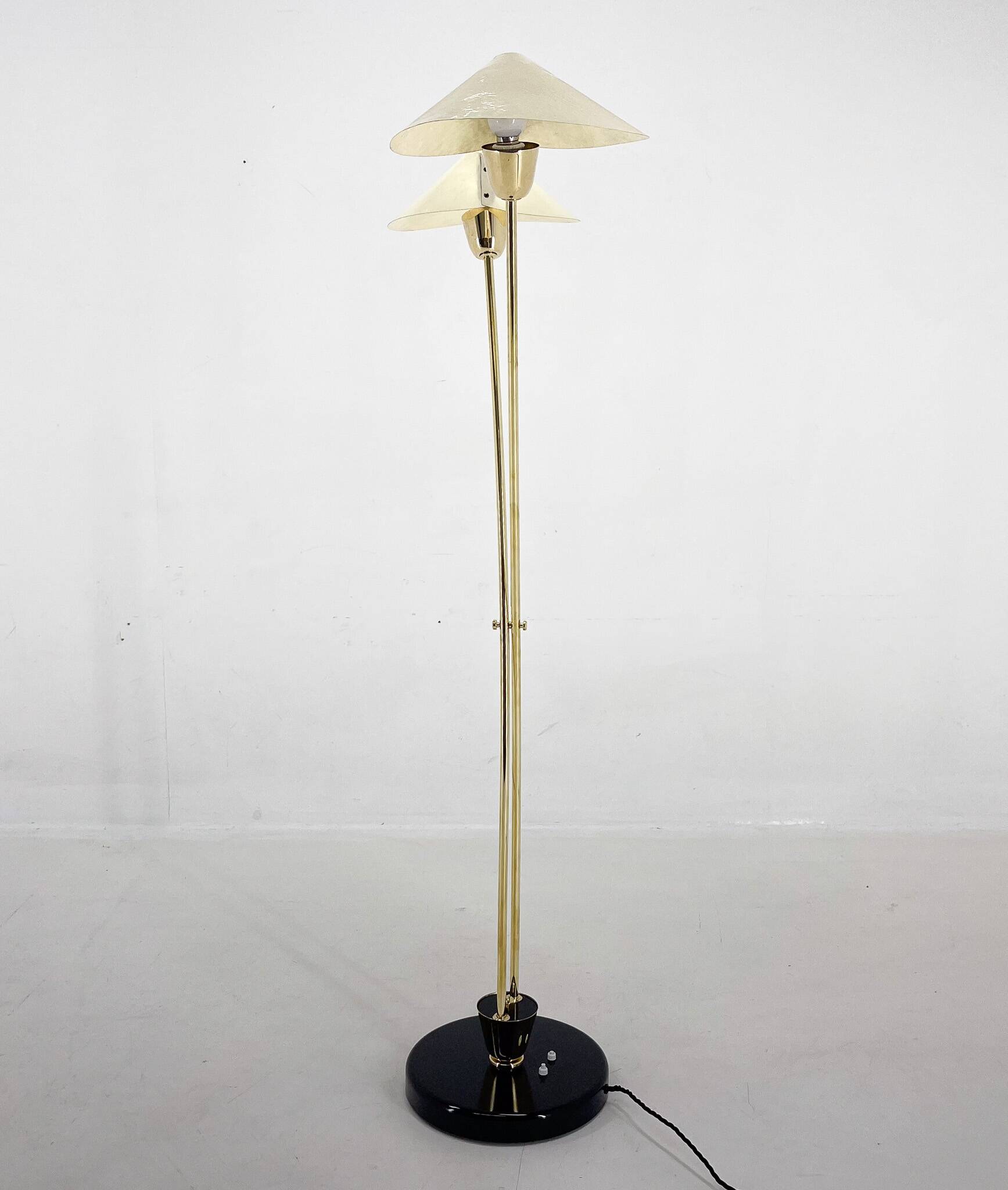 Mid-century Brass Floor Lamp by Napako, 1960s