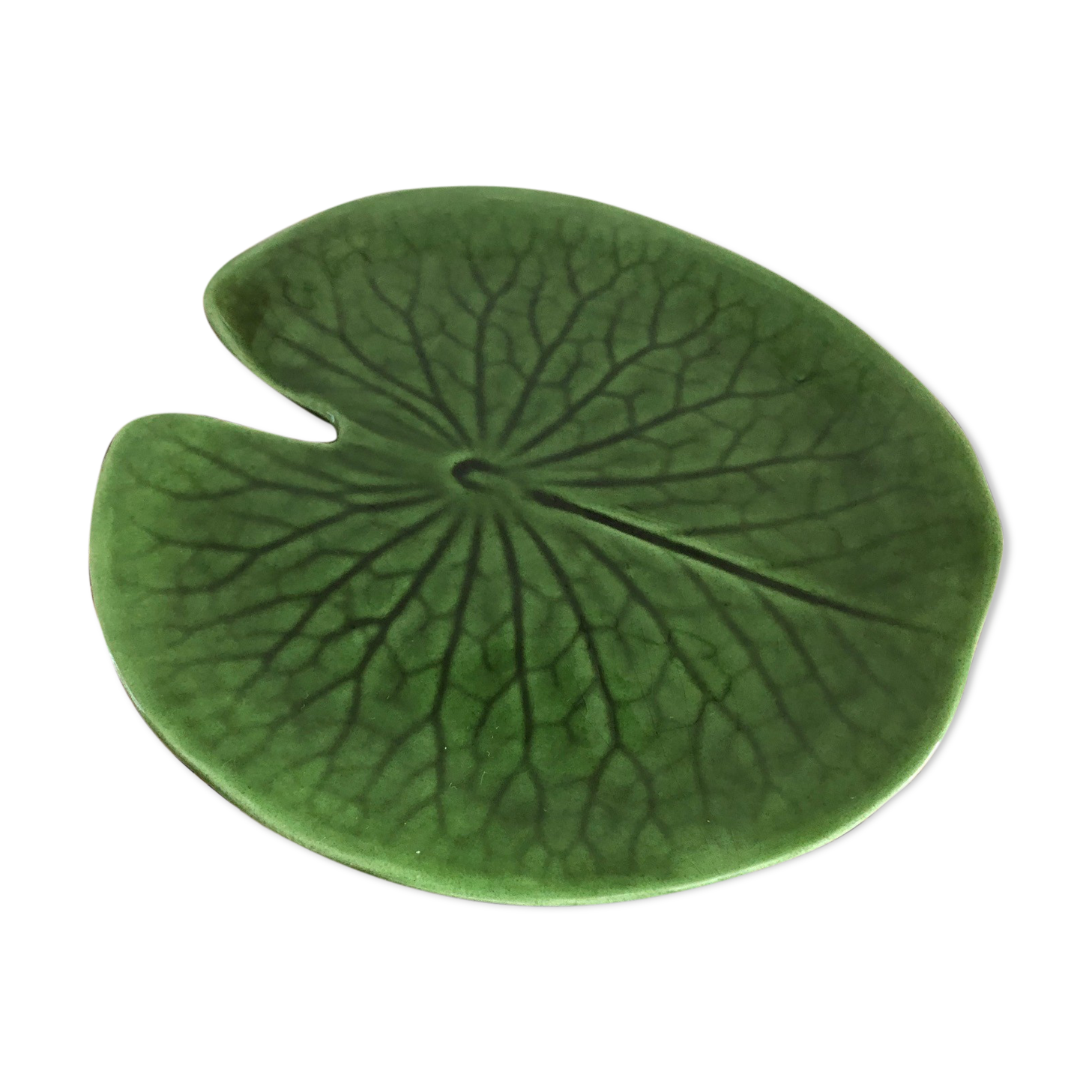 Plate water lily