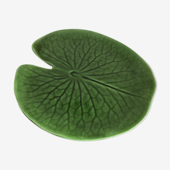 Plate water lily