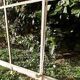 Window L156.2xH119 industrial curved metal glass roof frame