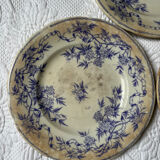 U&G Sarguemines Épine plates