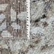 Rug 295x69cm