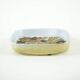 Ceramic platter, Danish design, 1960s, manufactured by Royal Copenhagen