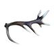 Deer antlers