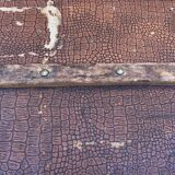 Vintage Travel Trunk