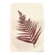 Collection de peintures herbiers sur papier signées Eawy