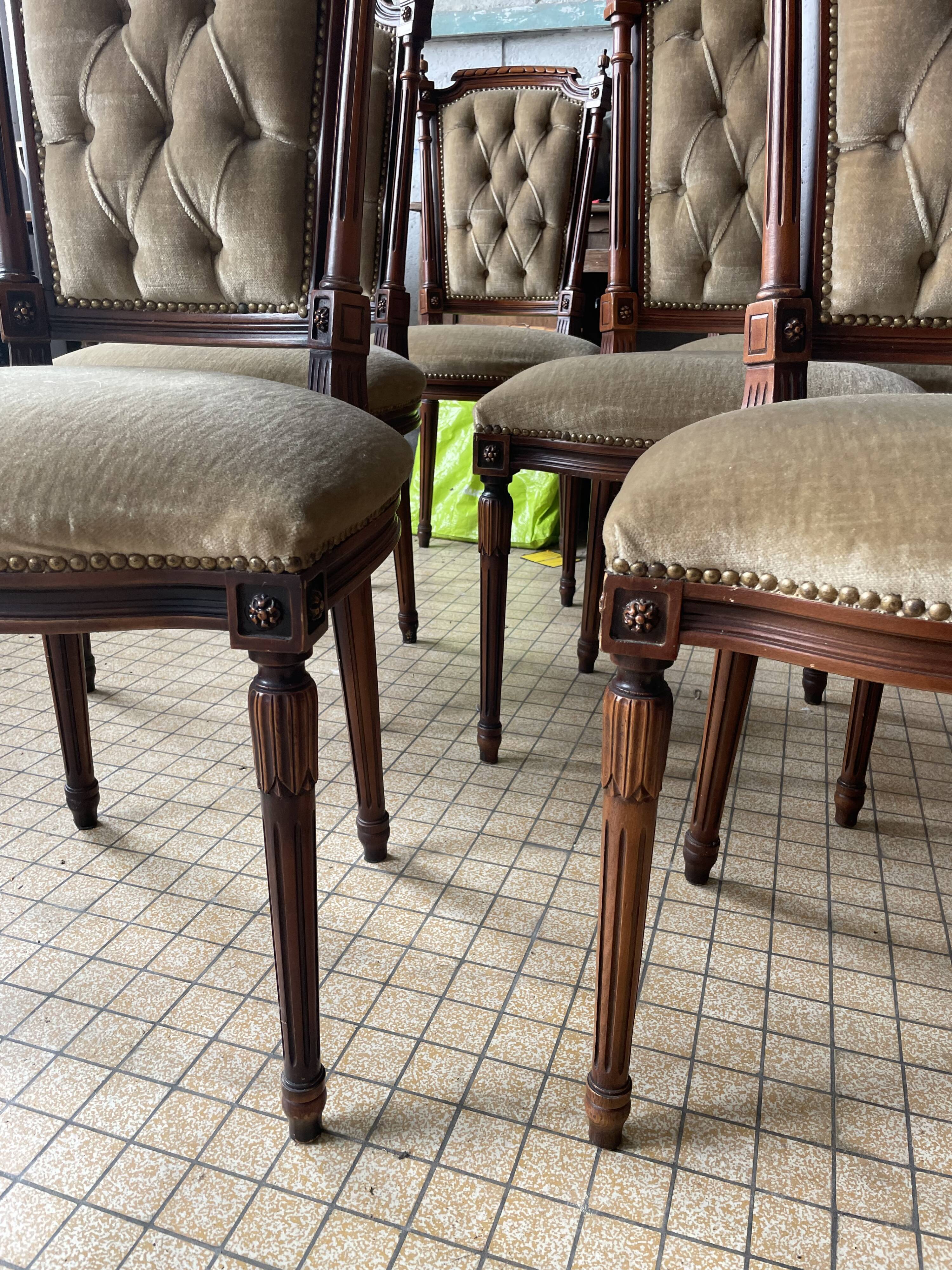 Louis XVI Style Chairs