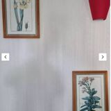 Framed botanical plates