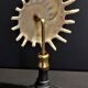 Cabinet of Curiosities stellaria solaris shell on base